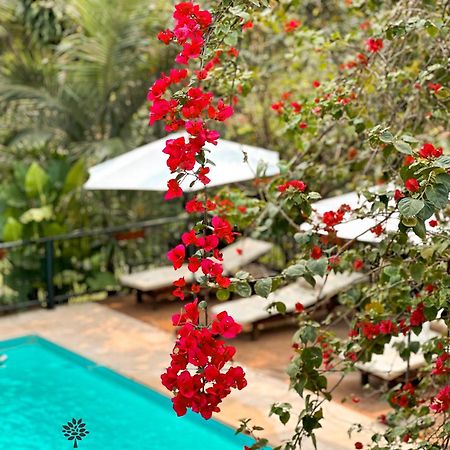 Mediterraneo Suites Puerto Iguazú Extérieur photo