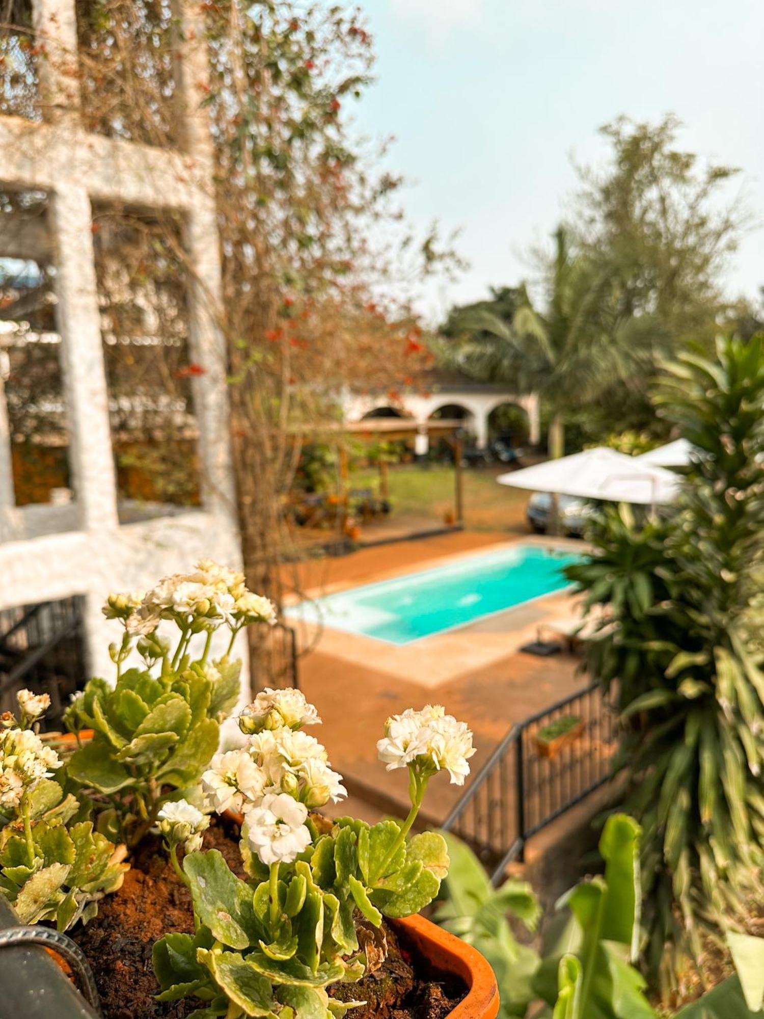 Mediterraneo Suites Puerto Iguazú Extérieur photo